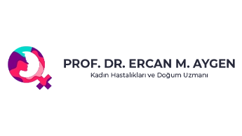 prof dr ercan aygen